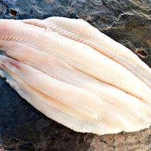 Load image into Gallery viewer, Dover Sole - Fresh, Wild, Skin off, Fillet, sold by pound