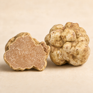 Fresh Italian white truffles - Tuber magnatum Pico