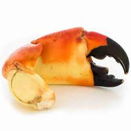 Florida stone crab