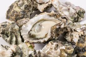 Oysters - Kumamoto, Live, Farmed, dozen