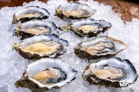 Oysters - Olympic view, Live, Farmed, 120 Ea