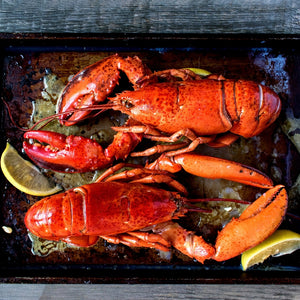 Lobster - Canadian, Live, Wild, 1 1/4lb and 1 1/2lb sold by pound