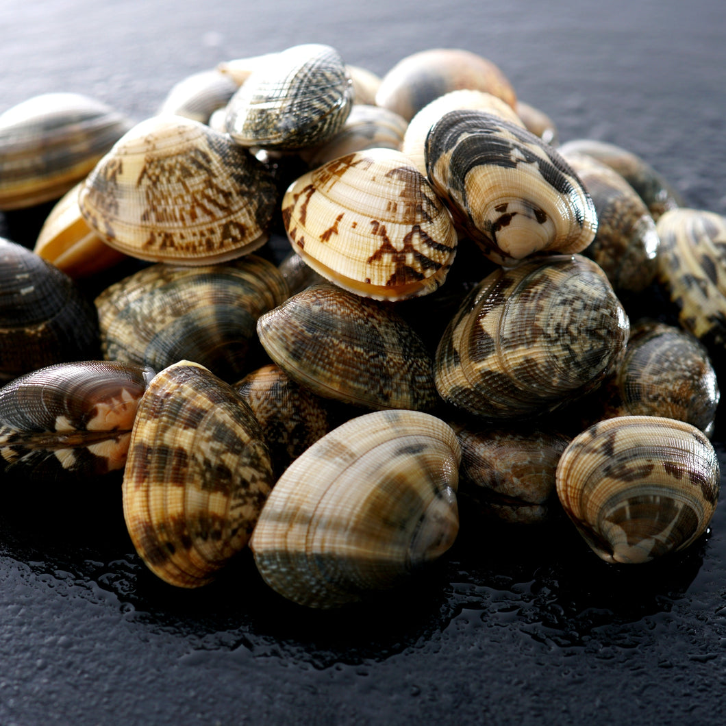 Manilla Clams - Live, Wild, sold by pound