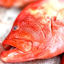 Load image into Gallery viewer, Grouper - Red Grouper, Fresh, Wild, Skin on, Fillet, 7.5oz
