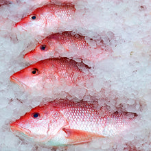 Load image into Gallery viewer, American Snapper - Red Snapper, Fresh, Wild, Skin on, Fillet, 7.5oz 2 portion $32 each filet

