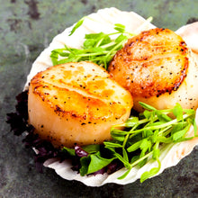 Load image into Gallery viewer, Scallops - Diver, Jumbo, Fresh, Wild, size U10, sold by pound

