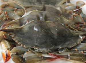 Soft Shell Crabs Jumbo, Wild, USA  by dozen