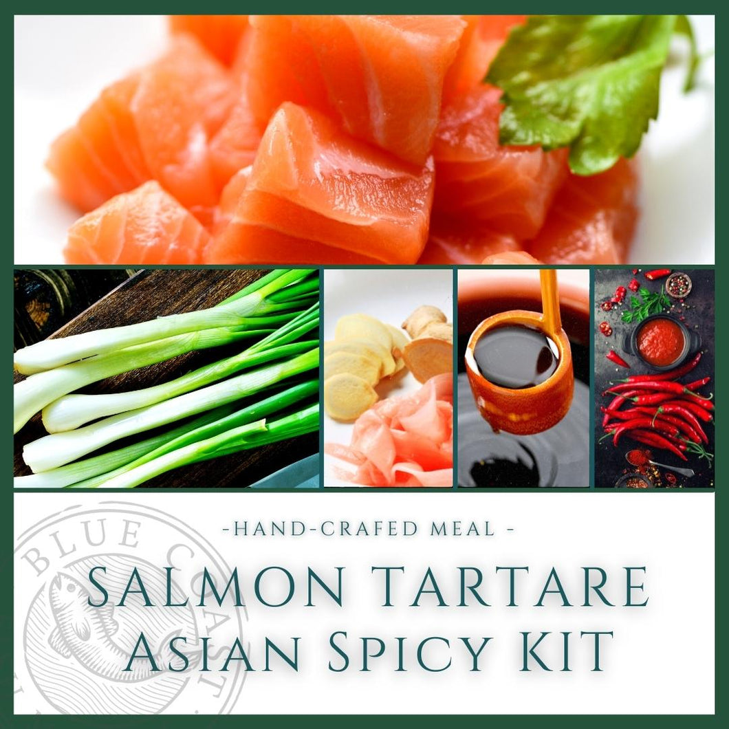 Scottish Salmon Tartare Kit (Mediterranean or Asian style)